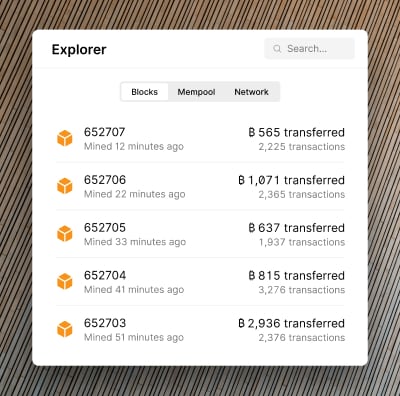 Illustrative interface for block explorer software