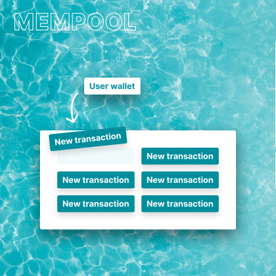 A user wallet pushing a transaction into the mempool
